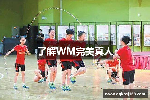 了解WM完美真人